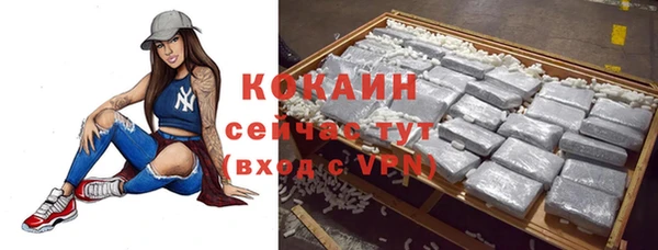 apvp Козельск