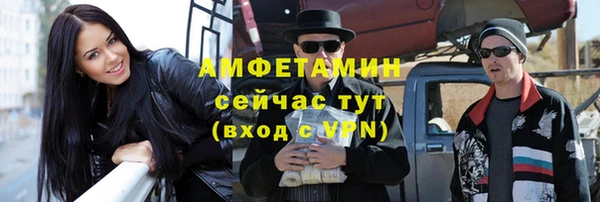 гашик Козловка