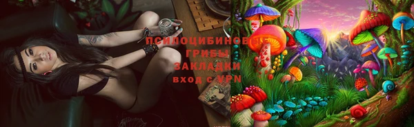 apvp Козельск