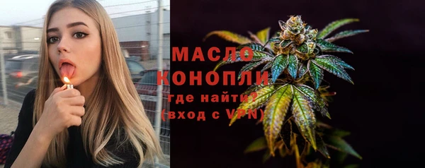 гашик Козловка