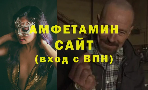 гашик Козловка