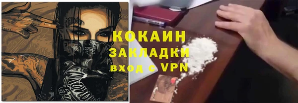 гашик Козловка