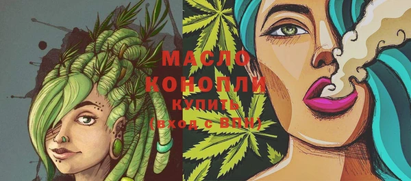 гашик Козловка