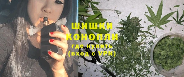 гашик Козловка