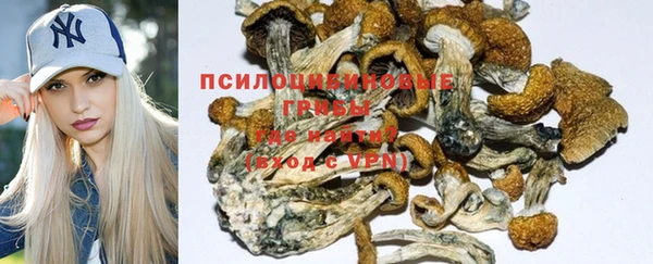 гашик Козловка