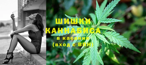 гашик Козловка